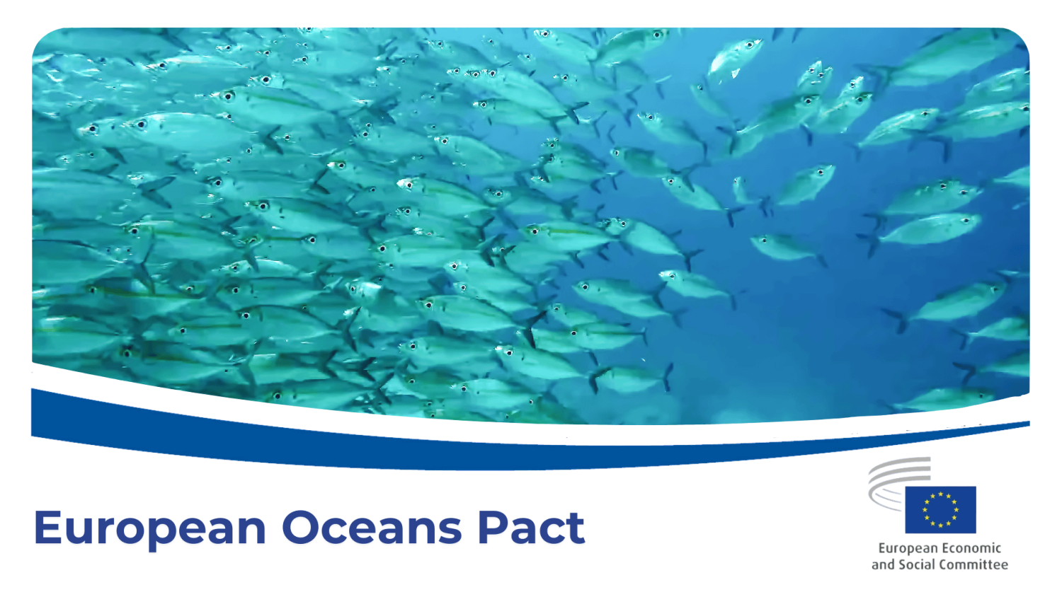 https://www.eesc.europa.eu/en/agenda/our-events/events/civil-societys-vision-european-oceans-pact