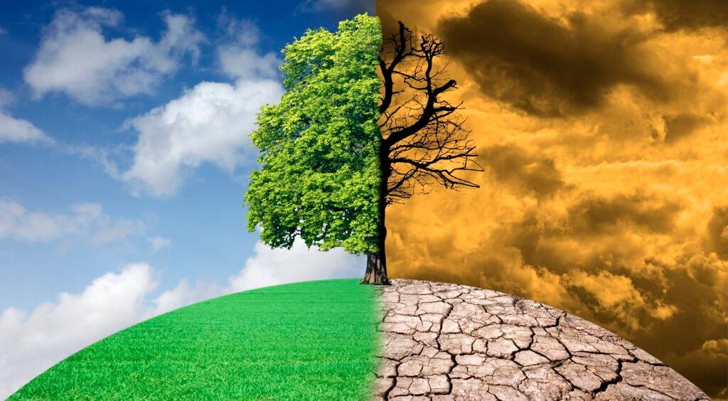 https://www.bankingriskandregulation.com/ecb-europes-banks-failing-to-consider-climate-risk/
