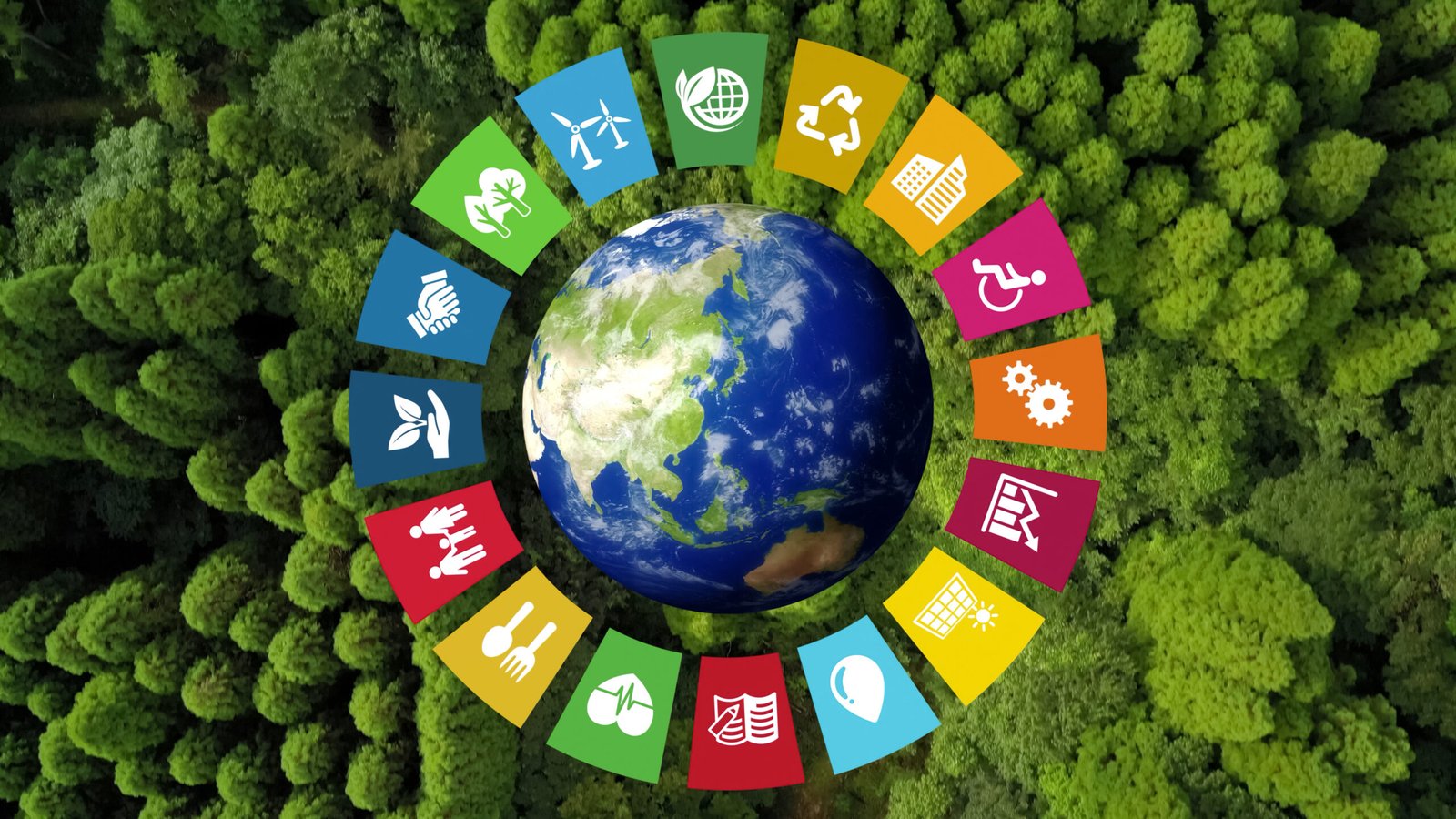 https://www.yorku.ca/unsdgs/toolkit/