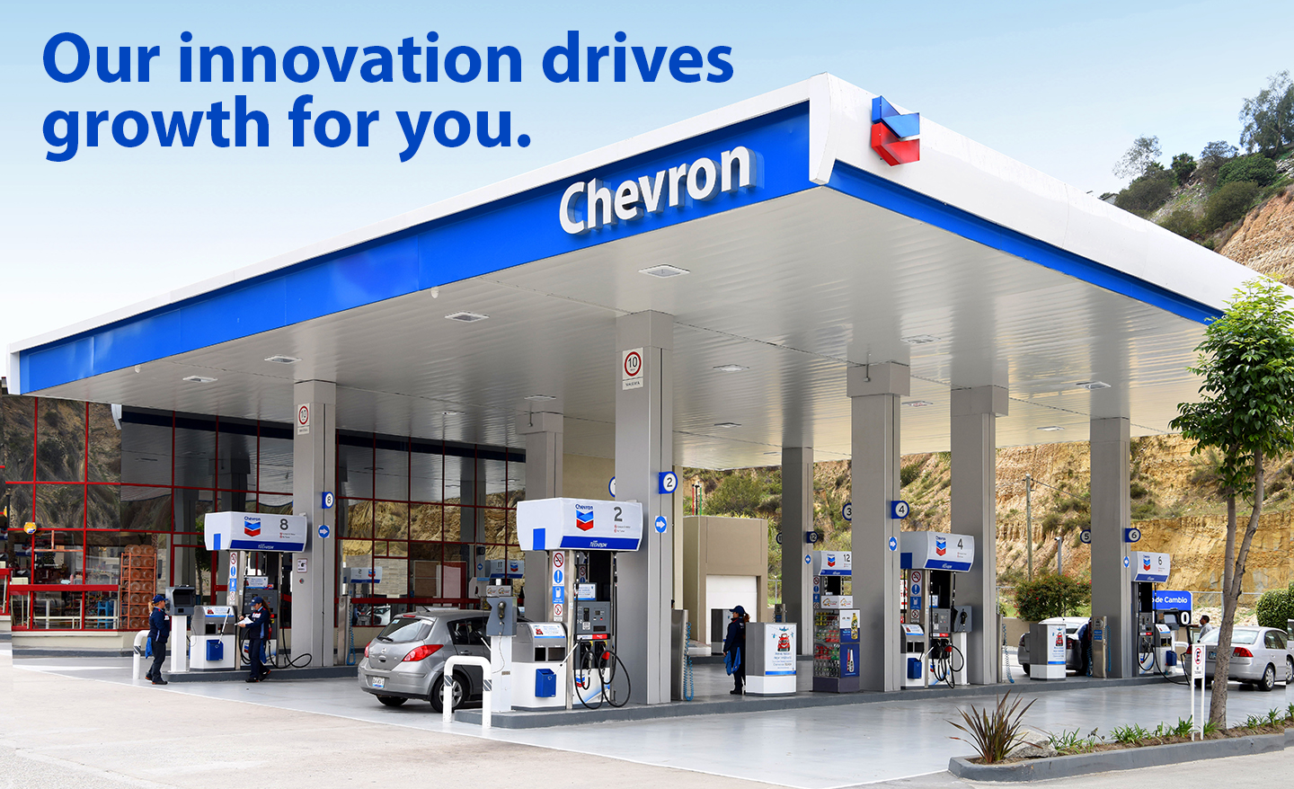 https://www.chevronwithtechron.com/en_us/home/renewable-diesel-blend/b2b-business-solution/franchise-opportunities.html